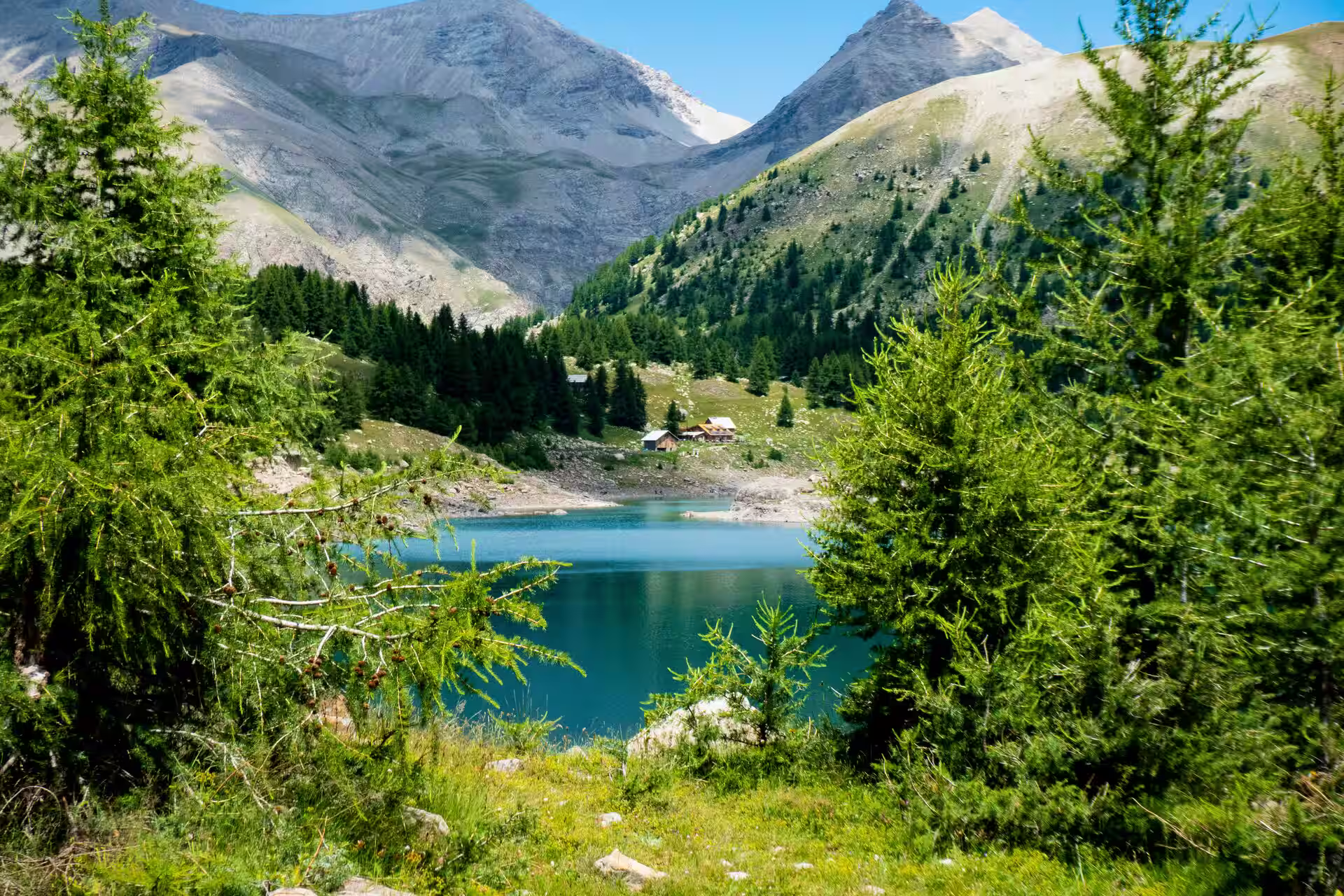 Explore the outdoors of Provence-Alpes-Côte d'Azur, France with local guides